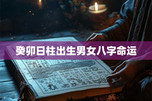 癸卯日柱出生男女八字命运