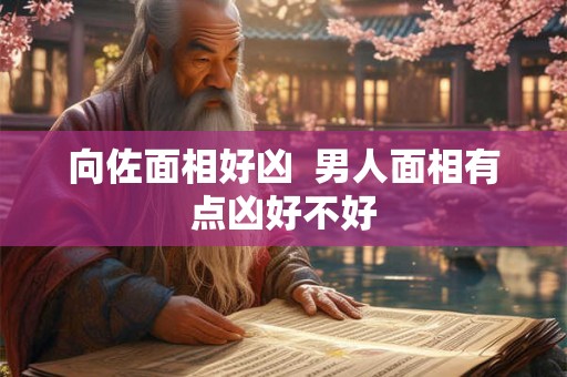 向佐面相好凶  男人面相有点凶好不好