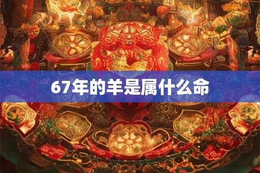 67年的羊是属什么命