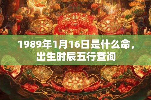1989年1月16日是什么命，出生时辰五行查询
