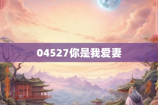 04527你是我爱妻