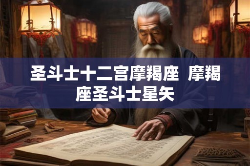 圣斗士十二宫摩羯座  摩羯座圣斗士星矢