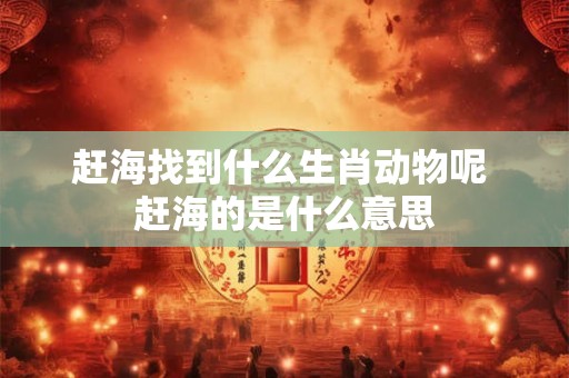 赶海找到什么生肖动物呢 赶海的是什么意思 赶海找到什么生肖动物呢 赶海的是什么意思