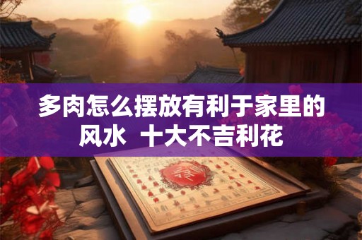 多肉怎么摆放有利于家里的风水  十大不吉利花