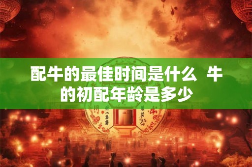 配牛的最佳时间是什么  牛的初配年龄是多少