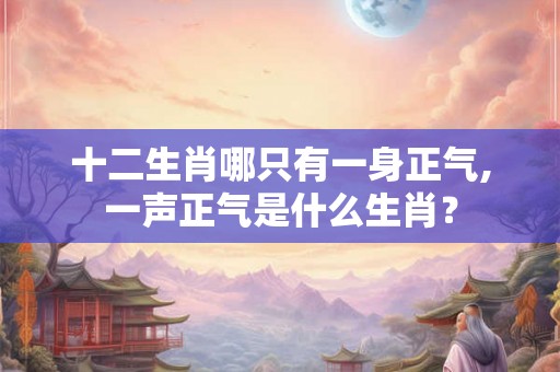 十二生肖哪只有一身正气,一声正气是什么生肖？