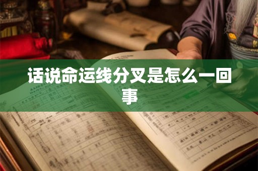 话说命运线分叉是怎么一回事