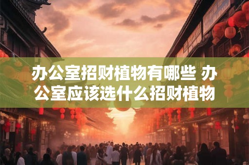 办公室招财植物有哪些 办公室应该选什么招财植物