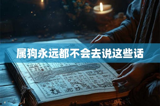 属狗永远都不会去说这些话 属狗永远都不会去说这些话