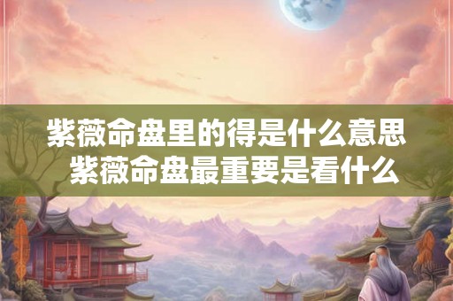 紫薇命盘里的得是什么意思  紫薇命盘最重要是看什么宫位