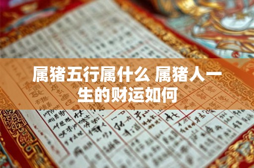 属猪五行属什么 属猪人一生的财运如何