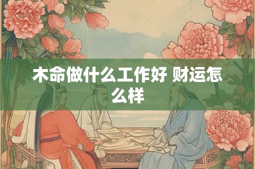 木命做什么工作好 财运怎么样