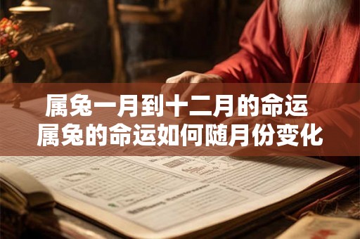 属兔一月到十二月的命运 属兔的命运如何随月份变化
