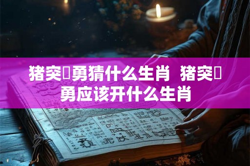 猪突豨勇猜什么生肖  猪突豨勇应该开什么生肖