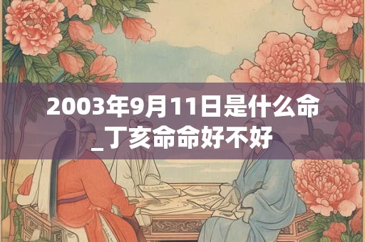 2003年9月11日是什么命_丁亥命命好不好