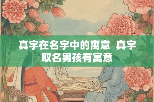 真字在名字中的寓意  真字取名男孩有寓意
