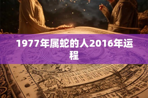 1977年属蛇的人2016年运程