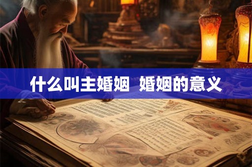 什么叫主婚姻  婚姻的意义
