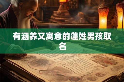 有涵养又寓意的蓬姓男孩取名