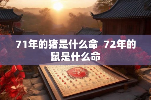 71年的猪是什么命  72年的鼠是什么命
