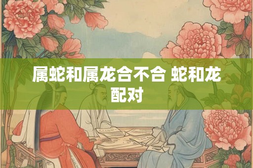 属蛇和属龙合不合 蛇和龙配对
