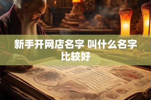 新手开网店名字 叫什么名字比较好