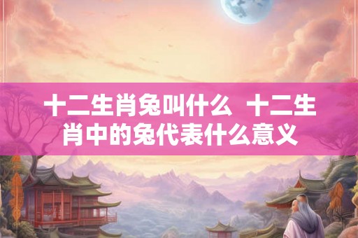 十二生肖兔叫什么 十二生肖中的兔代表什么意义 十二生肖兔叫什么 十二生肖中的兔代表什么意义