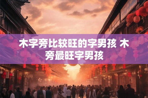 木字旁比较旺的字男孩 木旁最旺字男孩