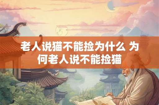 老人说猫不能捡为什么 为何老人说不能捡猫