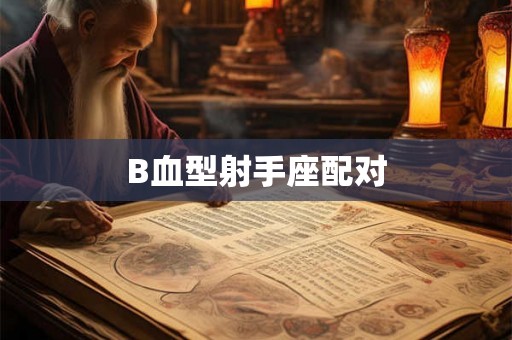 B血型射手座配对