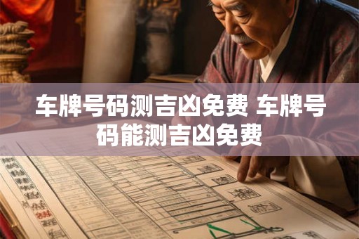 车牌号码测吉凶免费 车牌号码能测吉凶免费