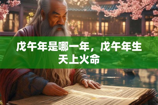 戊午年是哪一年，戊午年生天上火命