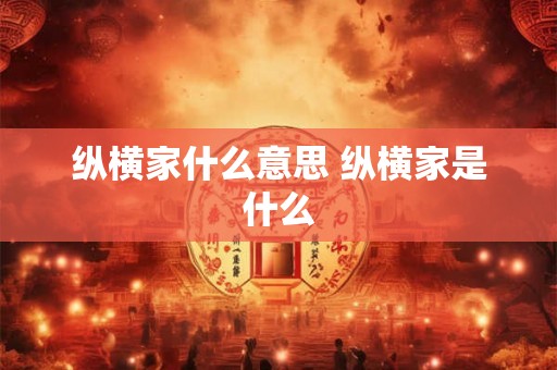 纵横家什么意思 纵横家是什么