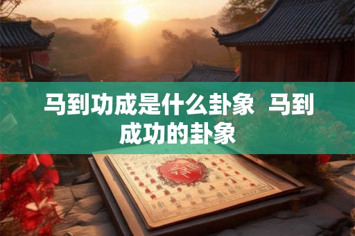 马到功成是什么卦象  马到成功的卦象