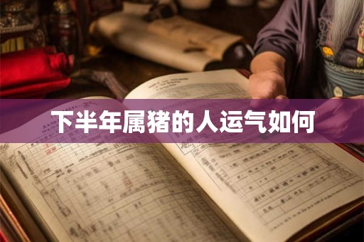 下半年属猪的人运气如何