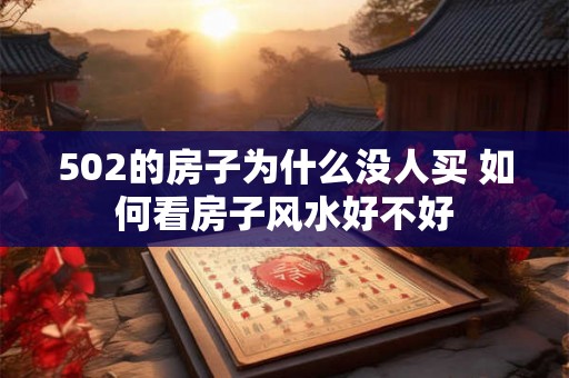 502的房子为什么没人买 如何看房子风水好不好