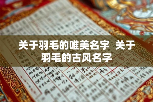 关于羽毛的唯美名字 关于羽毛的古风名字 关于羽毛的唯美名字 关于羽毛的古风名字