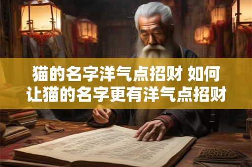 猫的名字洋气点招财 如何让猫的名字更有洋气点招财效果更好 猫的名字洋气点招财 如何让猫的名字更有洋气点招财效果更好