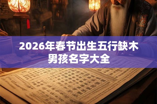 2026年春节出生五行缺木男孩名字大全