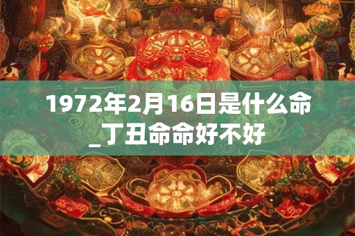 1972年2月16日是什么命_丁丑命命好不好