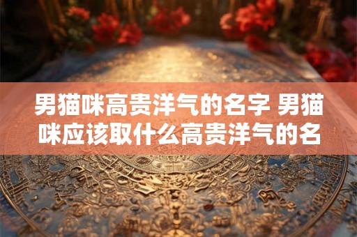 男猫咪高贵洋气的名字 男猫咪应该取什么高贵洋气的名字 男猫咪高贵洋气的名字 男猫咪应该取什么高贵洋气的名字