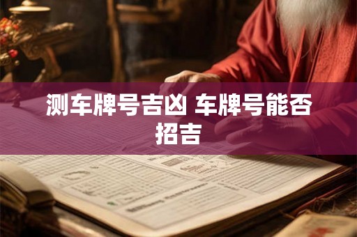 测车牌号吉凶 车牌号能否招吉