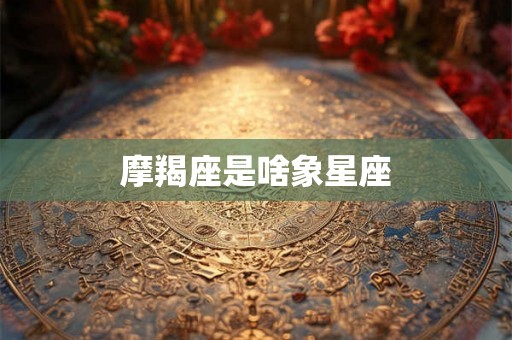 摩羯座是啥象星座