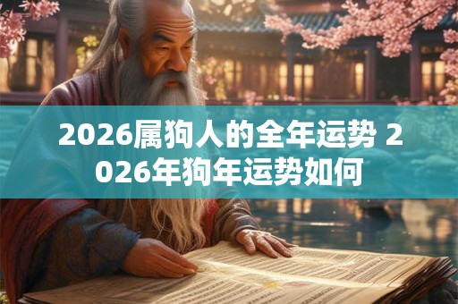 2026属狗人的全年运势 2026年狗年运势如何