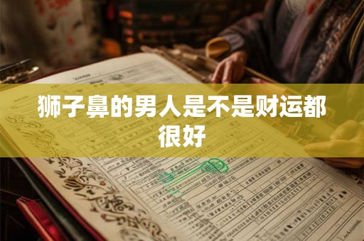 狮子鼻的男人是不是财运都很好