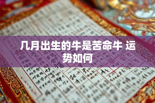 几月出生的牛是苦命牛 运势如何