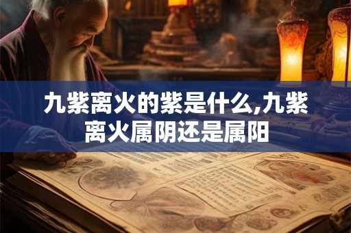 九紫离火的紫是什么,九紫离火属阴还是属阳