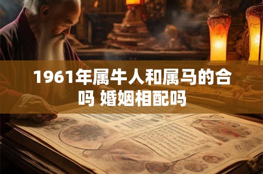 1961年属牛人和属马的合吗 婚姻相配吗