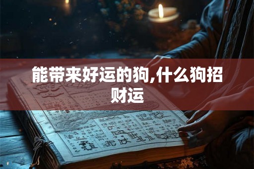 能带来好运的狗,什么狗招财运
