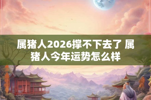 属猪人2026撑不下去了 属猪人今年运势怎么样